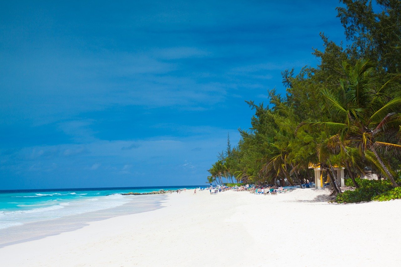 Barbados VAT digital services