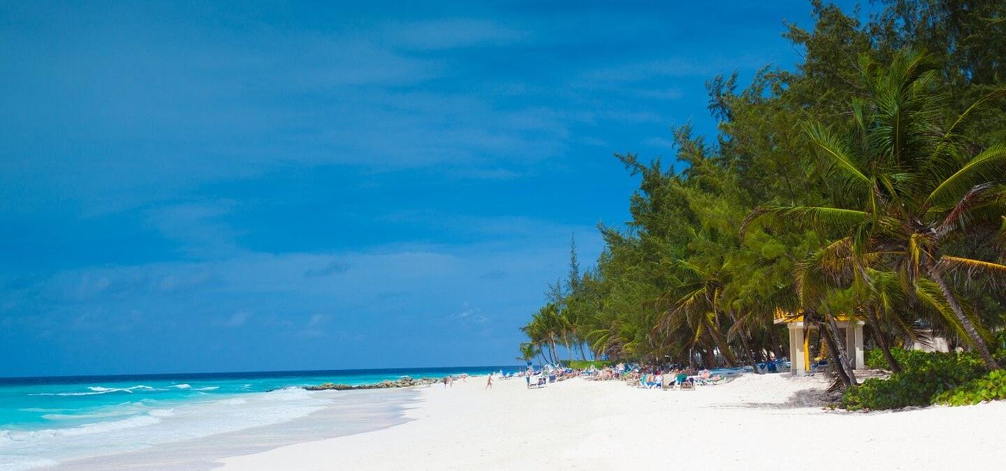 Barbados VAT digital services