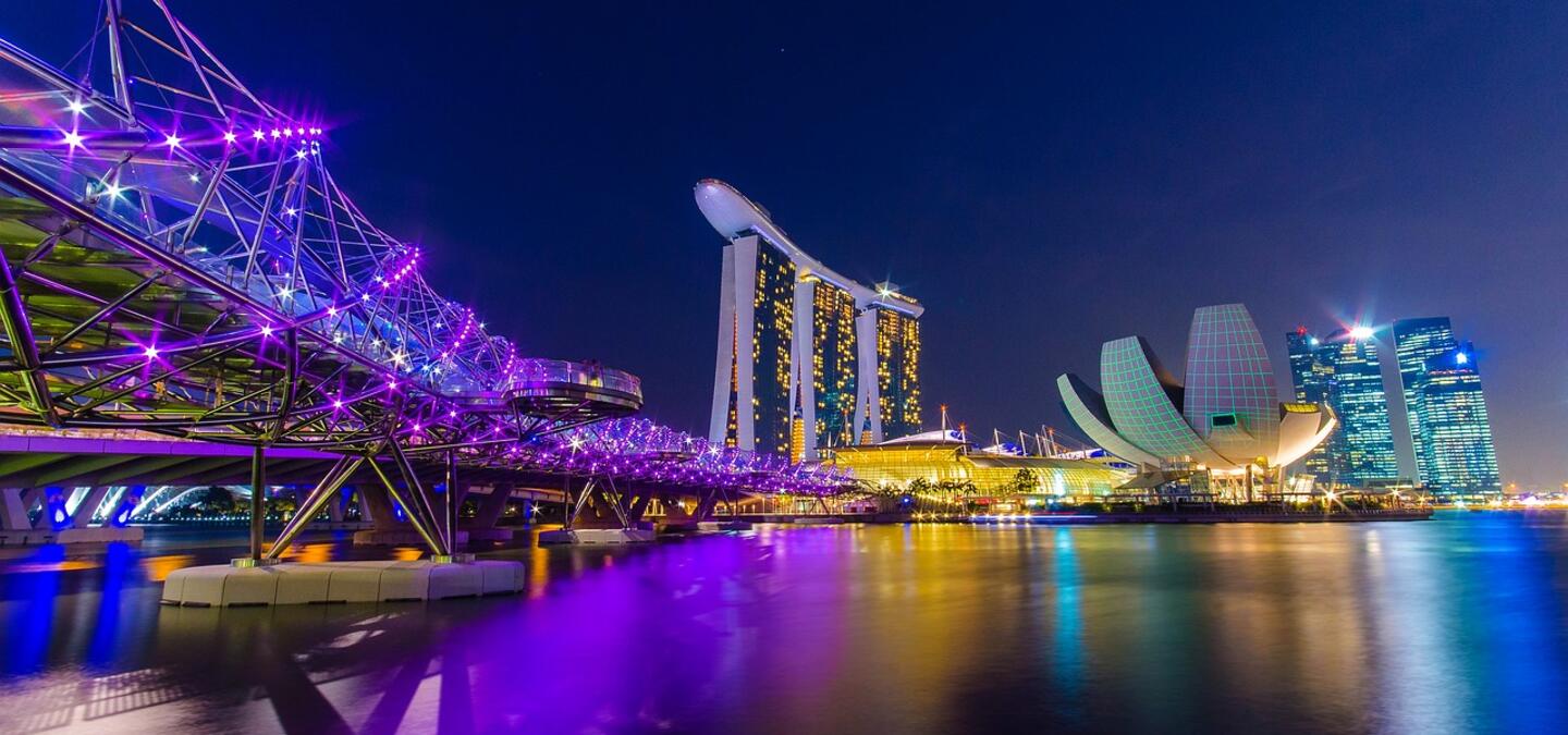 singapore-digital-services-gst