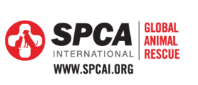 spca-international-logo