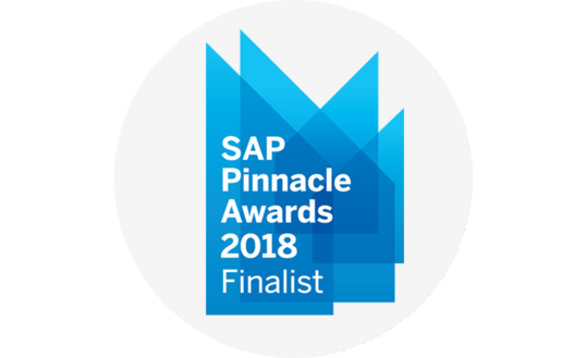 SAP Pinnacle Awards 2018