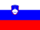 Slovenia Flag